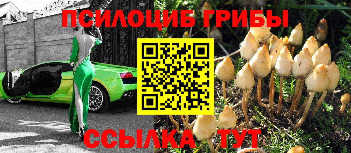 Каменск-Уральский  Галлюциногенные грибы Psilocybine cubensis  Вход с VPN  Галлюциногенные грибы мухоморы 