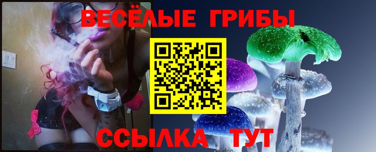 Псилоцибиновые грибы Magic Shrooms Каменск-Уральский